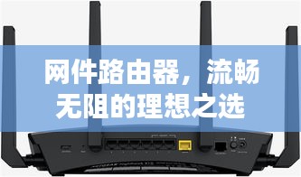 网件路由器，流畅无阻的理想之选