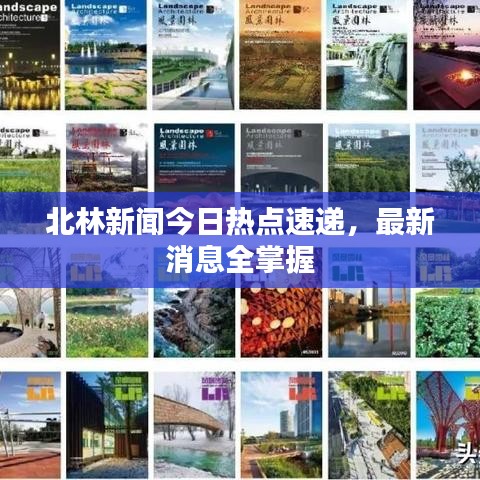 北林新闻今日热点速递，最新消息全掌握