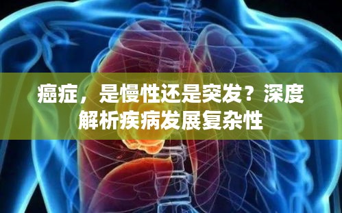 xingjirufei 第6页