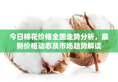 垂头丧气 第3页
