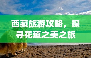 西藏旅游攻略，探寻花道之美之旅