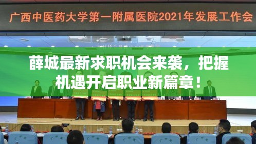 薛城最新求职机会来袭，把握机遇开启职业新篇章！
