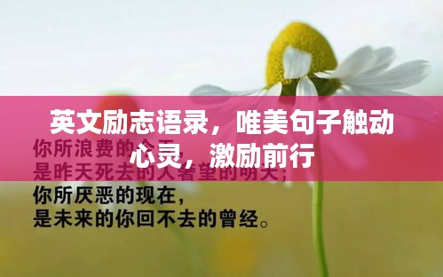 英文励志语录，唯美句子触动心灵，激励前行