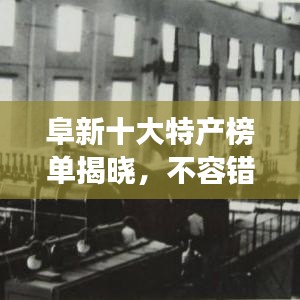 xingjirufei 第3页