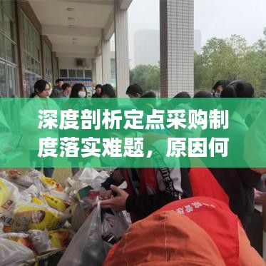 深度剖析定点采购制度落实难题，原因何在？