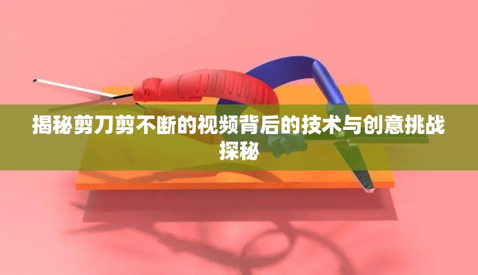 九死一生 第2页