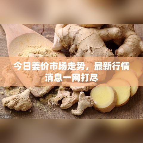 今日姜价市场走势，最新行情消息一网打尽