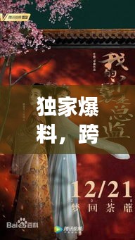 独家爆料，跨越时空的深情故事——夫人侍女传奇（免费阅读）